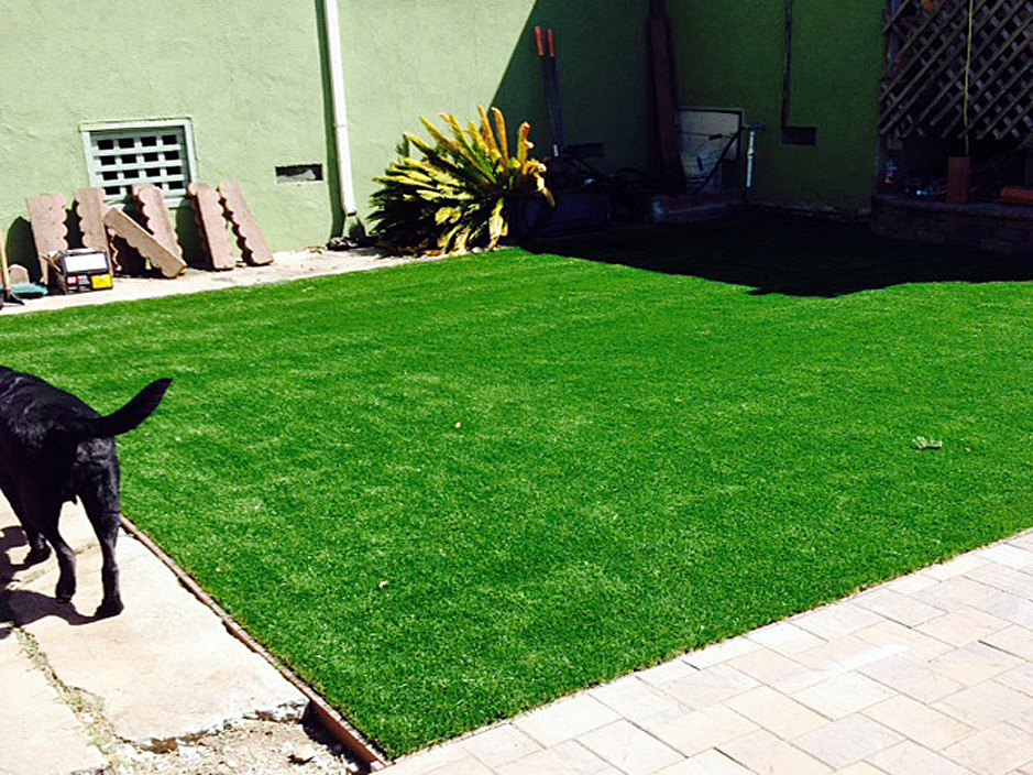 Artificial Grass Carpet Mead Valley, California Pet Grass, Dogs Park