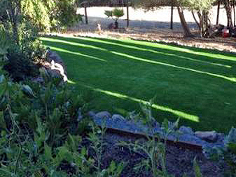Fake Lawn Palm Desert California Design Ideas Backyard Designs