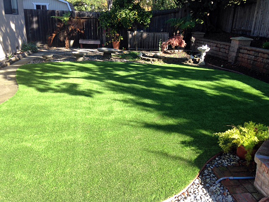 Lawn Services Wildomar, California Indoor Dog Park, Backyards