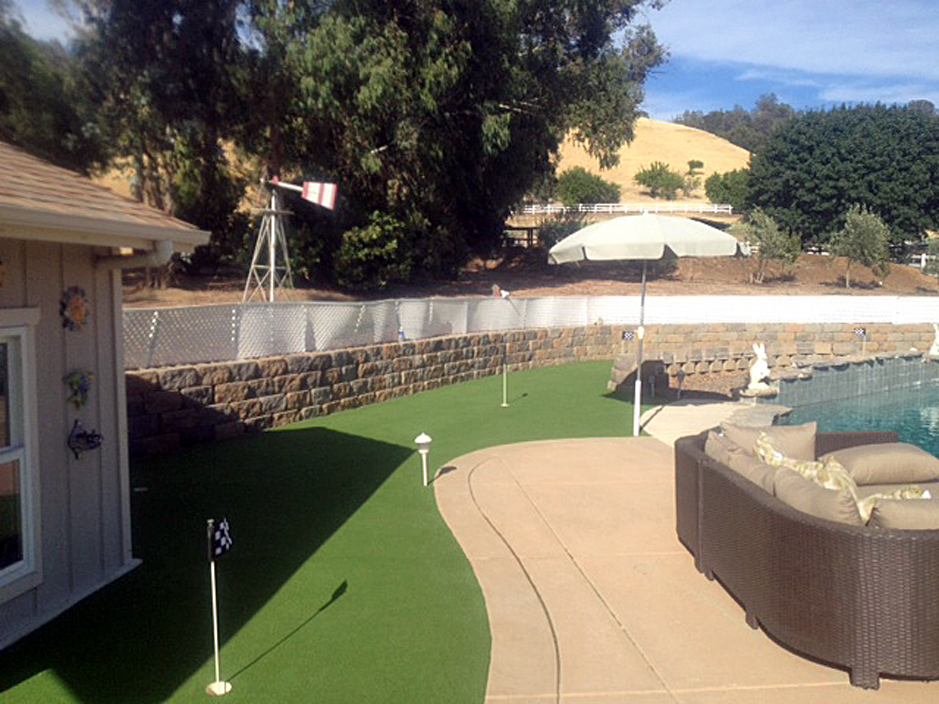 Plastic Grass Palm Desert California Putting Green Turf Small