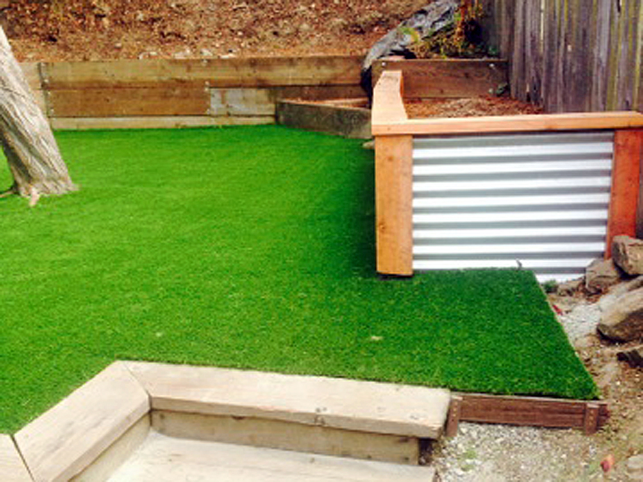 Synthetic Grass Bermuda Dunes California Landscaping Business