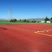 Artificial Lawn Highgrove, California Sports Athority