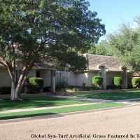 Artificial Turf Canyon Lake, California Landscaping, Front Yard Landscaping