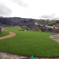 Artificial Turf Cost Oasis, California Roof Top