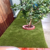 Artificial Turf Rubidoux, California Cat Grass, Backyard Makeover