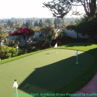 Fake Grass Carpet Mead Valley, California Indoor Putting Greens, Backyard Design