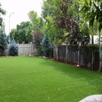 Fake Grass Mountain Center, California Design Ideas, Backyard Landscaping