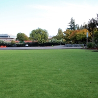 Fake Lawn Bermuda Dunes, California Backyard Deck Ideas