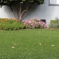 Fake Turf Idyllwild-Pine Cove, California Rooftop, Front Yard