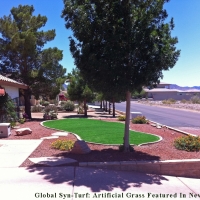 Fake Turf Mira Loma, California Landscaping Business, Front Yard