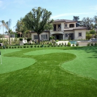Grass Carpet Nuevo, California Putting Green Carpet, Front Yard Ideas