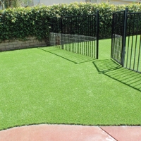 Grass Carpet Thermal, California Landscape Photos, Front Yard Design