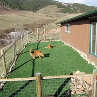 Grass Turf Mira Loma, California Gardeners, Backyard Landscaping Ideas