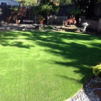 Lawn Services Wildomar, California Indoor Dog Park, Backyards