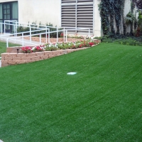 Synthetic Grass Cost Green Acres, California Design Ideas, Front Yard Landscaping Ideas