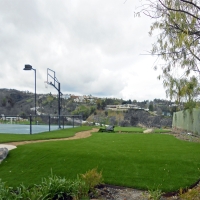 Synthetic Turf Home Gardens, California Landscape Ideas, Commercial Landscape