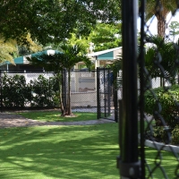 Turf Grass Perris, California Backyard Playground, Commercial Landscape