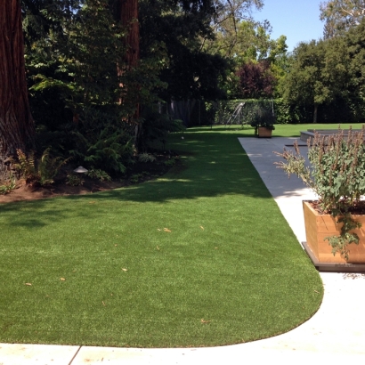Artificial Grass Carpet Banning, California Landscape Design, Front Yard Landscape Ideas