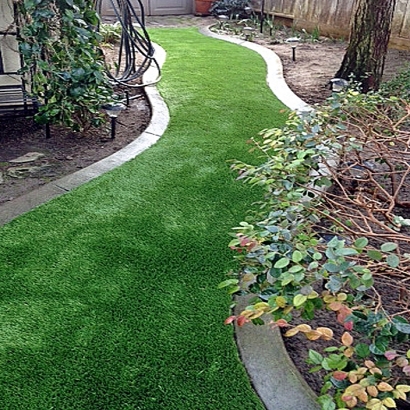 Artificial Grass Carpet Good Hope, California Roof Top, Beautiful Backyards