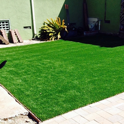 Artificial Grass Carpet Mead Valley, California Pet Grass, Dogs Park