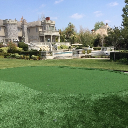 Artificial Grass Carpet Murrieta Hot Springs, California Lawn And Landscape, Landscaping Ideas For Front Yard