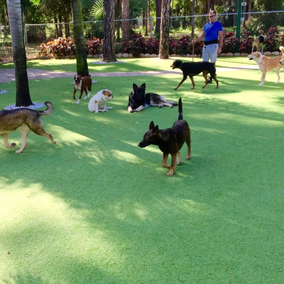 Artificial Grass Carpet Murrieta Hot Springs, California Dog Run, Dog Kennels