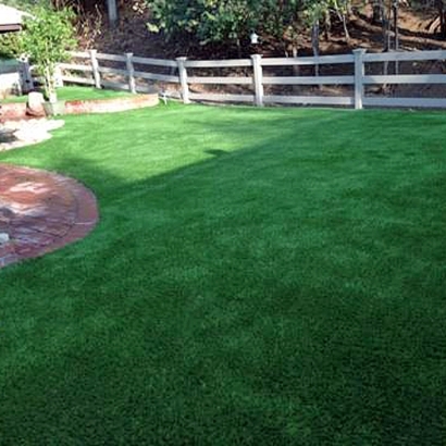 Artificial Grass Cherry Valley, California Landscaping, Beautiful Backyards