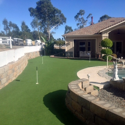 Artificial Grass Vista Santa Rosa, California Landscape Design, Backyard Ideas