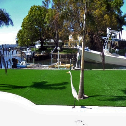 Artificial Lawn Nuevo, California Landscaping Business, Backyard Landscaping Ideas