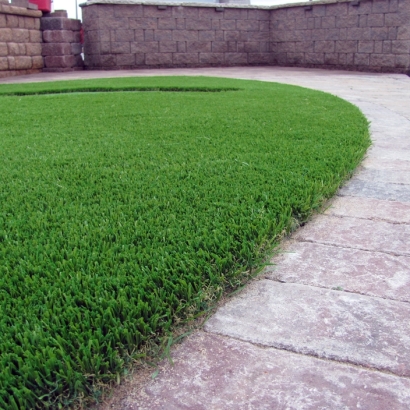 Artificial Lawn Temecula, California Pet Turf, Front Yard Landscaping