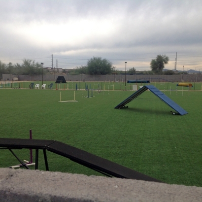 Artificial Lawn Thousand Palms, California Sports Turf, Parks