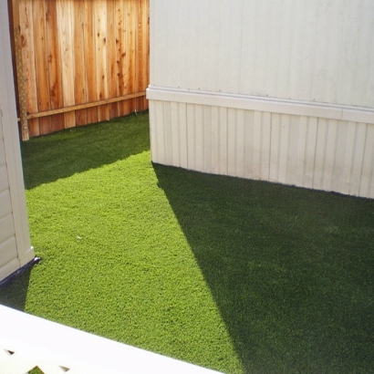 Artificial Turf Desert Center, California Fake Grass For Dogs, Small Backyard Ideas