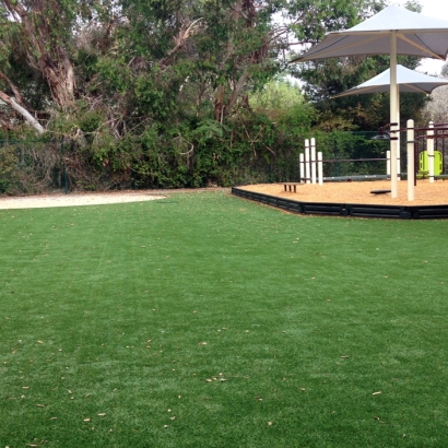 Artificial Turf Garnet, California Indoor Playground