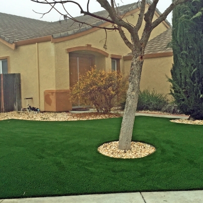 Best Artificial Grass Alpine Village, California Landscape Ideas, Front Yard Landscaping