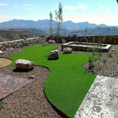 Best Artificial Grass Good Hope, California Gardeners, Backyard Ideas