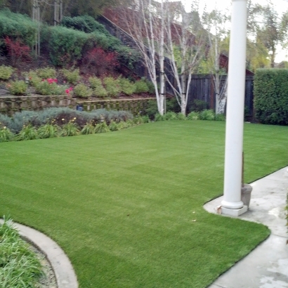 Best Artificial Grass Vista Santa Rosa, California Dog Pound, Backyard Ideas