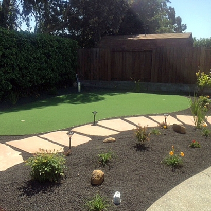 Fake Grass Carpet Cabazon, California Landscaping Business, Beautiful Backyards
