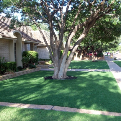 Fake Grass Carpet Corona, California Design Ideas, Front Yard