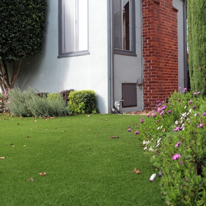 Fake Grass Carpet Desert Center, California City Landscape, Front Yard