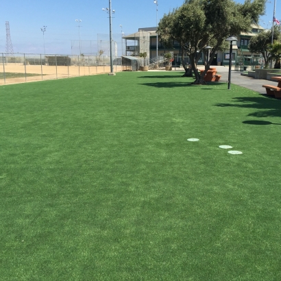 Fake Grass Carpet San Jacinto, California Landscaping Business, Parks
