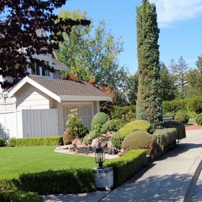 Fake Grass Menifee, California Garden Ideas, Front Yard Ideas