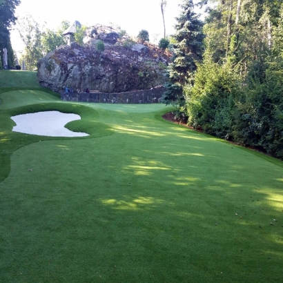 Fake Grass Rancho Mirage, California Home And Garden, Commercial Landscape