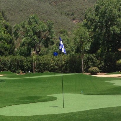 Fake Grass San Jacinto, California Indoor Putting Greens