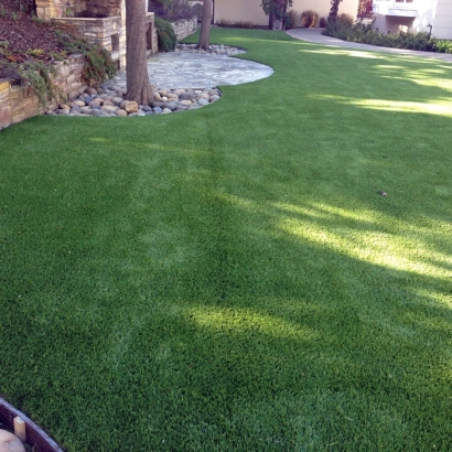 Fake Turf Mead Valley, California Landscaping Business, Small Backyard Ideas