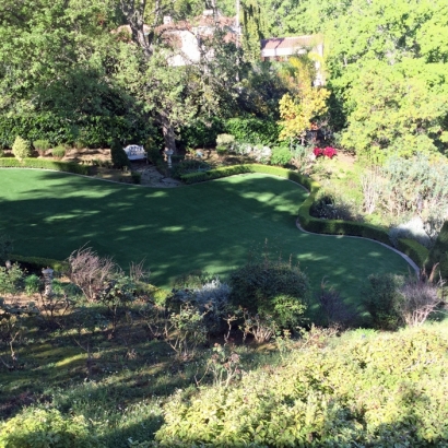 Fake Turf Mecca, California Landscaping Business, Backyard Ideas