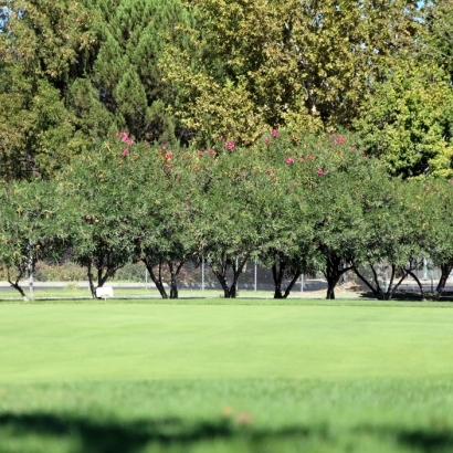 Fake Turf Palm Springs, California City Landscape