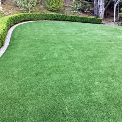 Fake Turf Thousand Palms, California Roof Top, Backyard Makeover