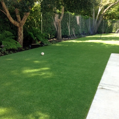 Faux Grass Banning, California Pictures Of Dogs