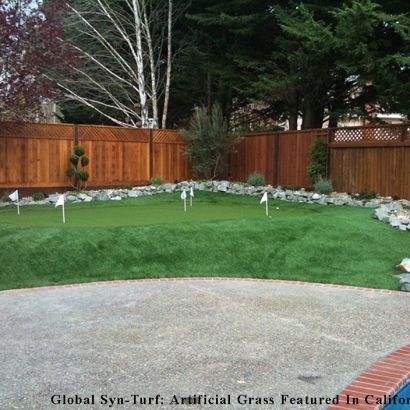 Faux Grass Good Hope, California Landscape Ideas, Backyard Garden Ideas
