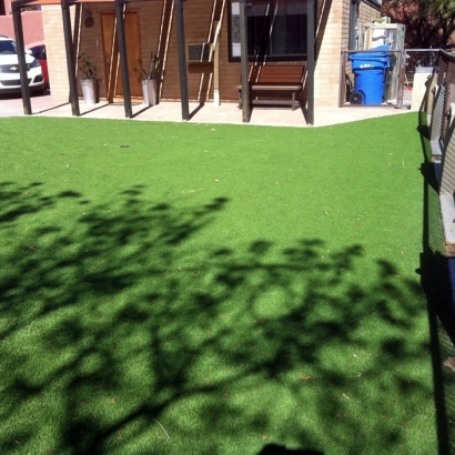 Faux Grass Lakeview, California Rooftop, Backyard Landscaping